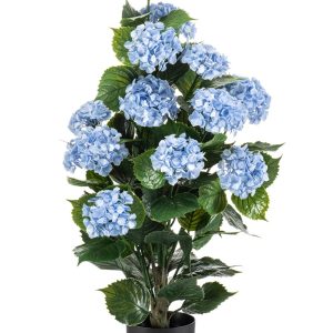 Hortensia blauw uv proof voor buiten