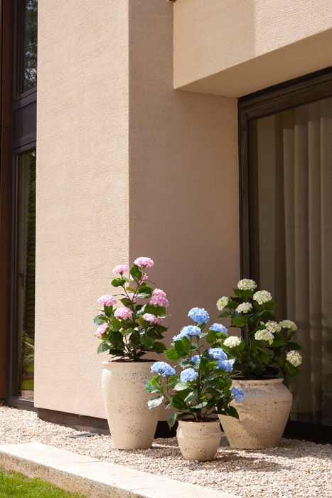 Hortensia roze UV Proof voor buiten - Afbeelding 3