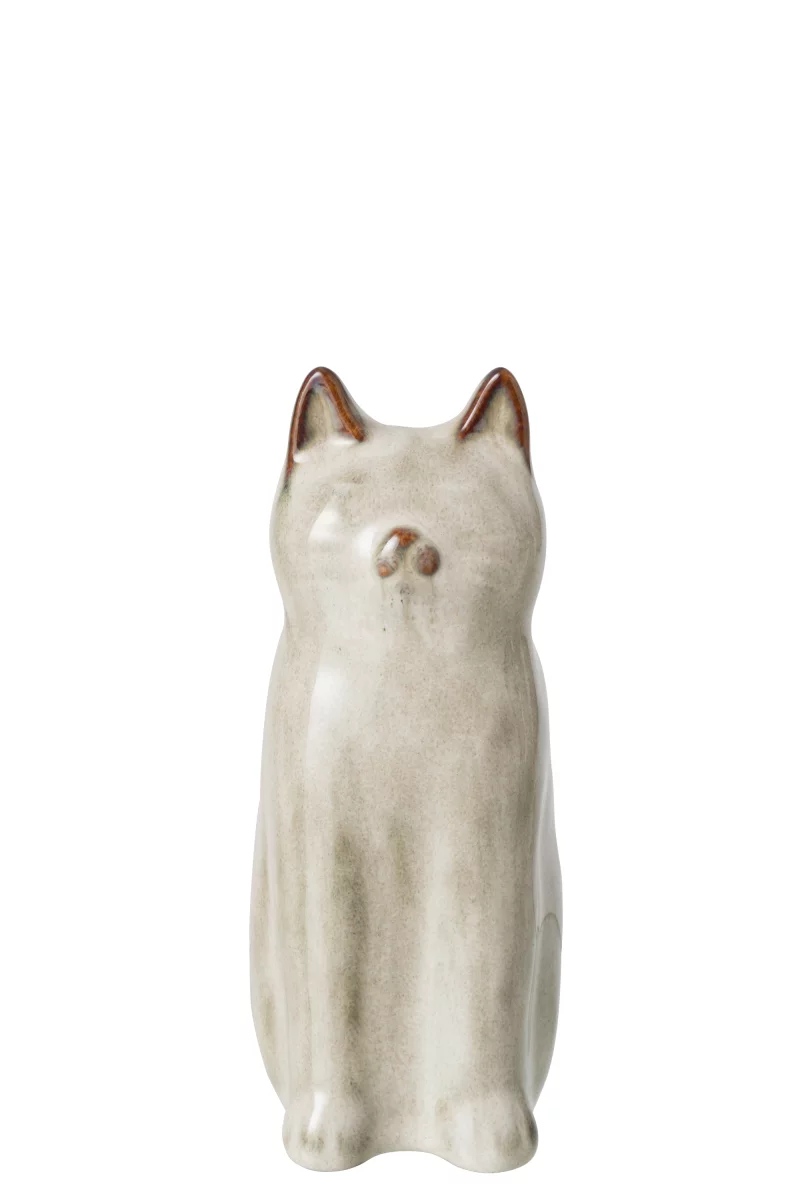 vaas kat
