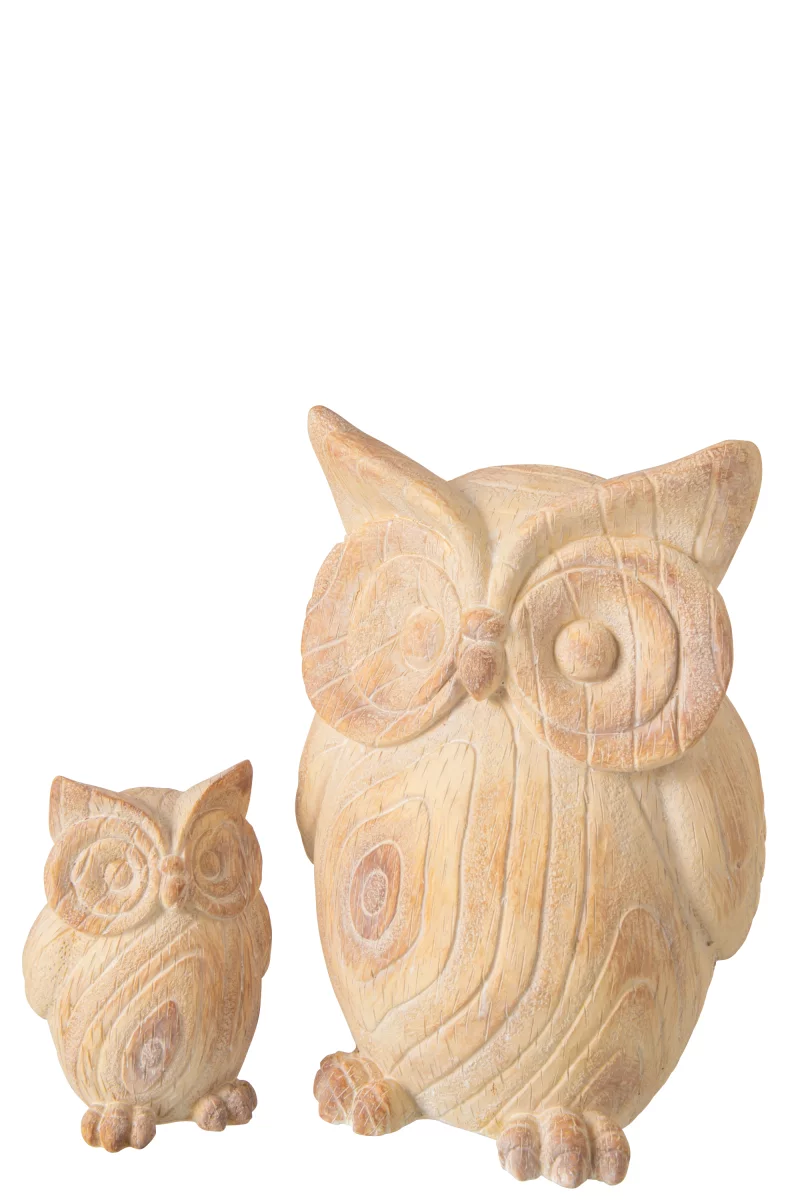 Uil hout look, gemaakt van polyresin verkrijgbaar bij Zijden Boutique in Delft